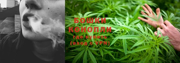 мет Новозыбков