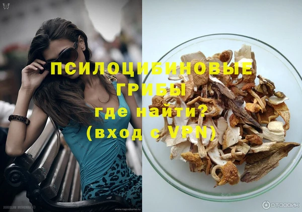 мет Новозыбков