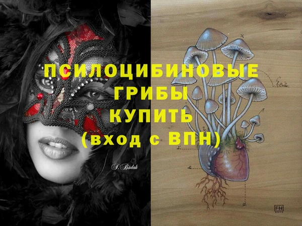 экстази Новодвинск