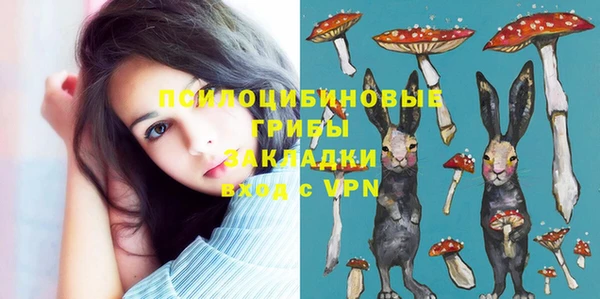 мет Новозыбков