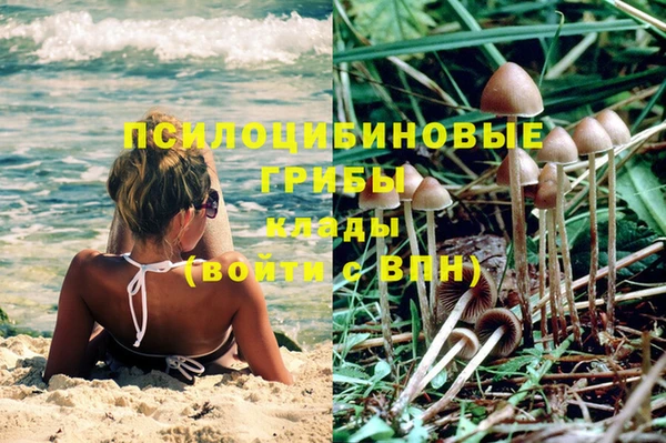 мет Новозыбков