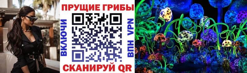 сколько стоит Тихорецк Галлюциногенные грибы мухоморы
