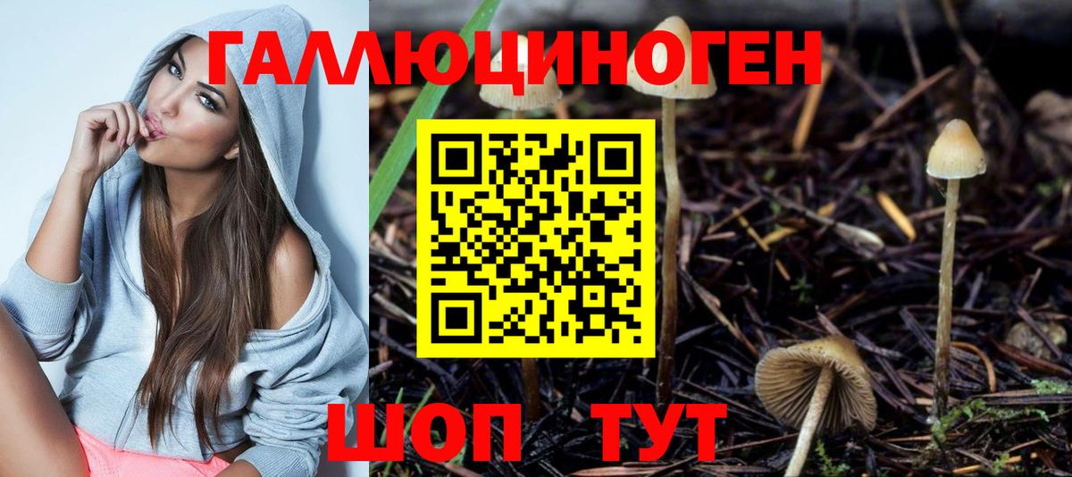 Тихорецк  Галлюциногенные грибы Magic Shrooms  Вход с VPN 