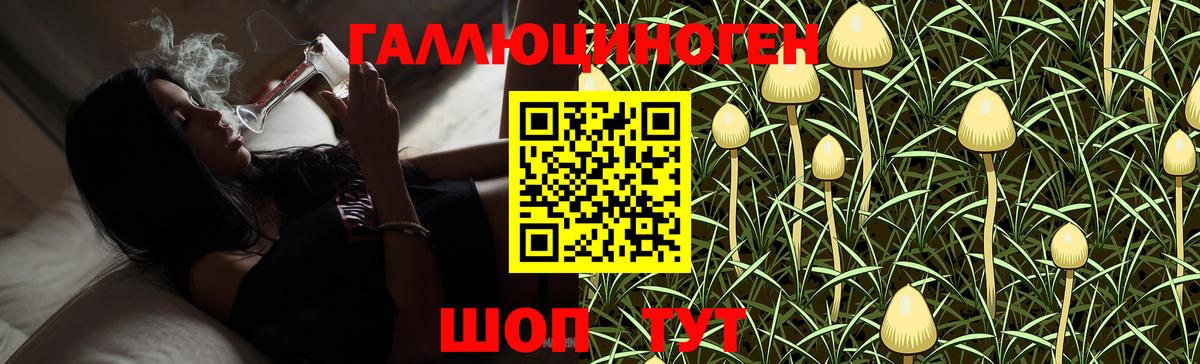 Галлюциногенные грибы GOLDEN TEACHER Тихорецк